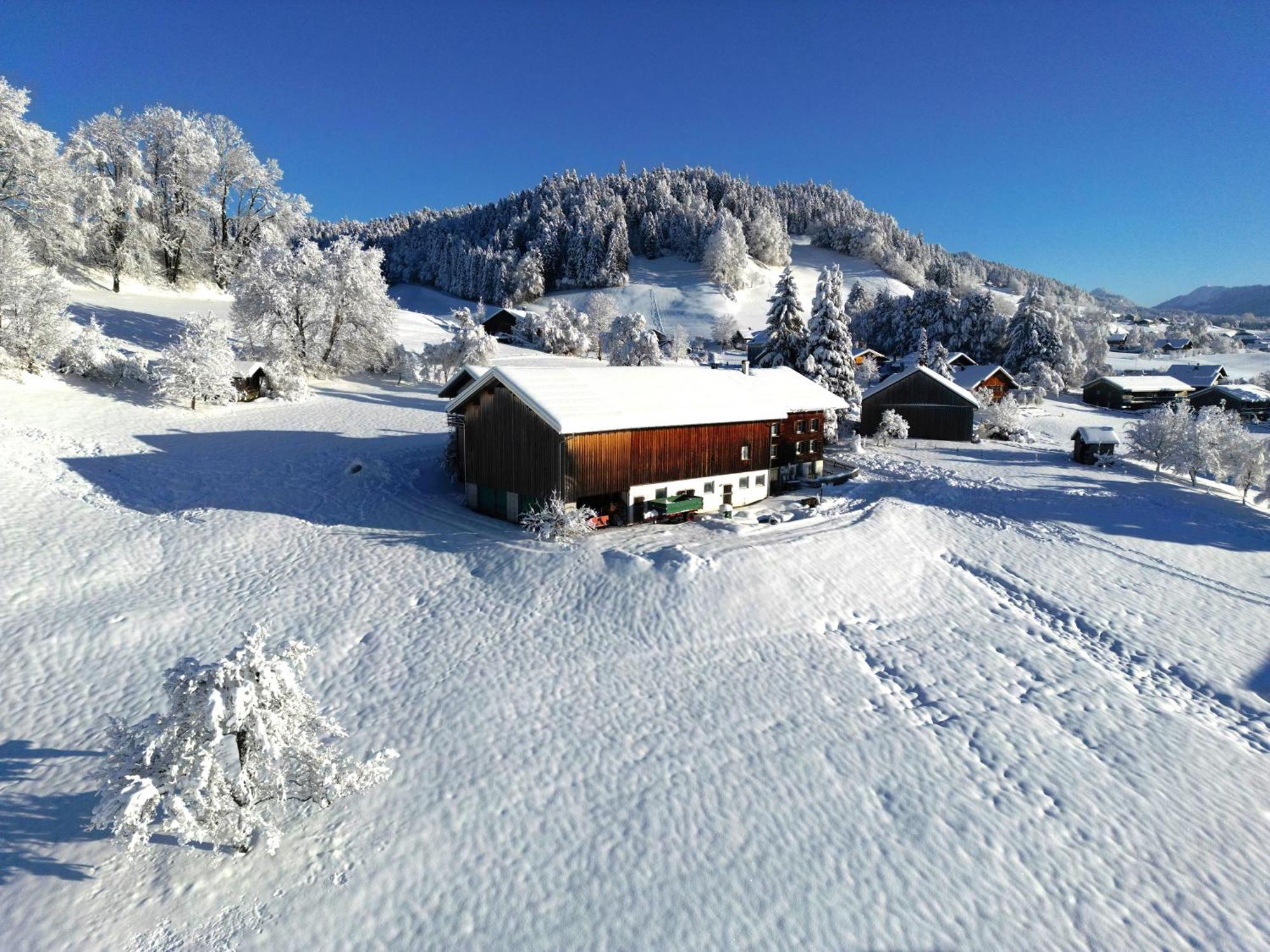 Bergoase Hohenegg Villa Lingenau Exterior photo